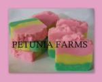 Citrus Splash Kokum Butter 6 pack Soap